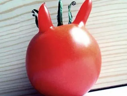 Fructele de tomate Fructele de tomate
