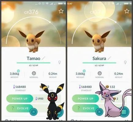 Cum de a evolua
