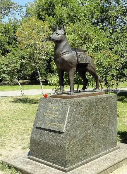 Ca numele orașului Stalingrad