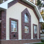 Cu vedere spre casa fațadă și subsol cu ​​panouri din plastic sub piatră (62 poze)