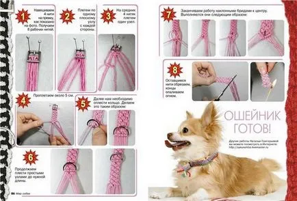 Amulet pentru un câine cu propriile sale mâini - a proteja animalele de companie de rău (protecție) Amulet pentru un câine cu propriile sale mâini - proteja animalele de companie de rău