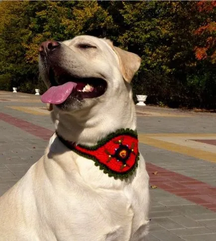 Charms pentru animale de companie (câini și pisici) și efectivele de animale, cu propriile lor mâini (câini) Charms pentru animale de companie (câini și pisici) și efectivele de animale, cu propriile lor mâini