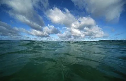Ce este în ocean