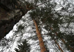 Am devenit dependent de droguri