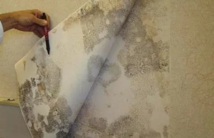 Cum de a elimina tapet vechi Cum de a elimina tapet vechi