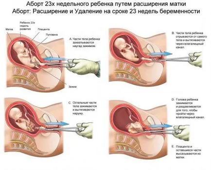 Cum cifra de afaceri