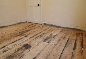 Cum să se stabilească podele din lemn laminat Cum să se stabilească podele din lemn laminat
