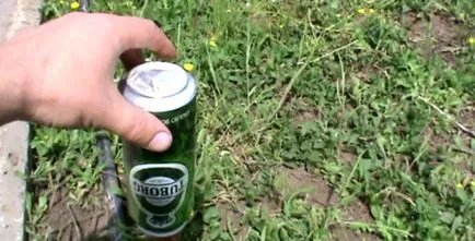 Ca și în grădină pentru a scăpa de furnici Ca și în grădină pentru a scăpa de furnici