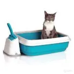 Pasarele nu numai în tava