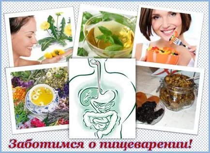 Indiferent de alimente nu este digerat Indiferent de alimente nu este digerat