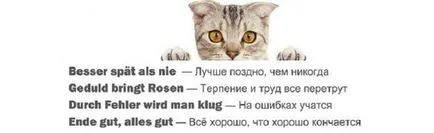 Ca răspuns la felicitări Ca răspuns la felicitări