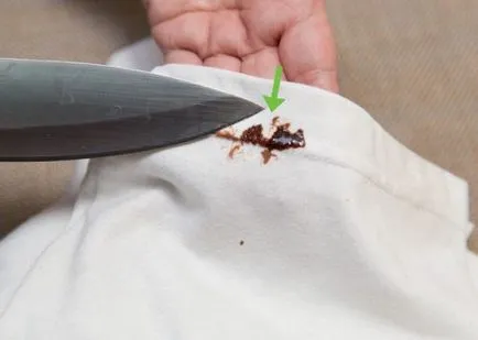Spălarea pata de ciocolata Spălarea pata de ciocolata