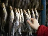 Cum de a îmbunătăți mediul Cum de a îmbunătăți mediul