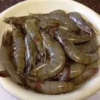 Ce trebuie să faceți dacă aveți viermi Ce trebuie să faceți dacă aveți viermi
