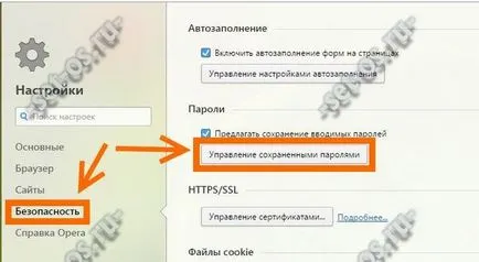 Parola vizualizare sub asteriscuri