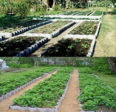 Gard pentru paturi de flori, cu propriile lor mâini cum să facă o curea de bordură (garduri) Gard pentru paturi de flori cu propriile lor mâini modul de a face panglică bordură