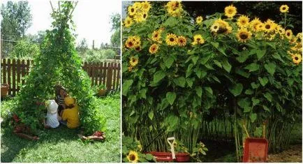 Efectuarea loc de joacă pentru copii, cu propriile sale mâini (de copii) Efectuarea loc de joacă pentru copii, cu propriile sale mâini