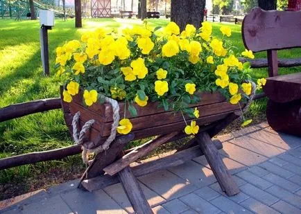 Amenajare de paturi în apropierea casei cu mâinile (40 fotografii) (paturi) Efectuarea de paturi in apropiere de casa cu mâinile (40 poze)