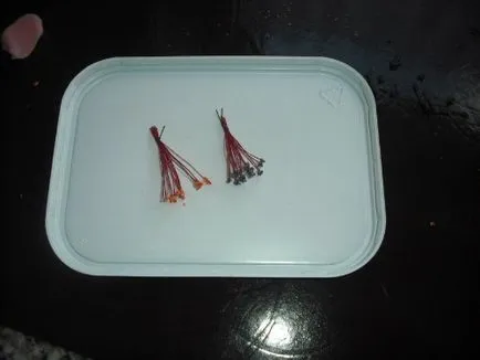 Material de colectare imens pe un stamine de casă și pistiluri pentru asamblarea culorilor