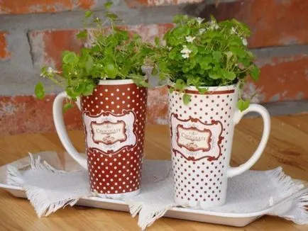 O gradina de legume pe pervazul ferestrei (oamenii cresc acasă) O gradina de legume pe pervazul ferestrei