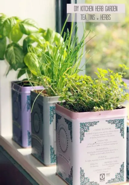 O gradina de legume pe pervazul ferestrei (cultivate acasă) O gradina de legume pe pervazul ferestrei