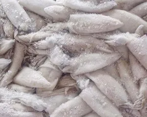 Cum să fiarbă corect calmar Cum să fiarbă corect calmar