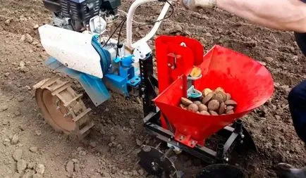 Cum să planteze cartofi în motor bloc Cum să planteze cartofi în motor bloc