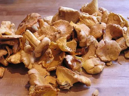 Cum de a găti chanterelle ciuperci Cum de a găti chanterelle ciuperci