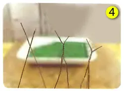 Artizanat Cum sa faci copaci