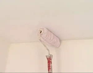Tavan suspendat făcute cu propriile mâini Tavan suspendat făcute cu propriile mâini