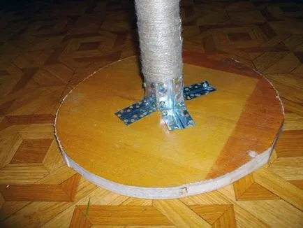 Puncte pentru pisici
