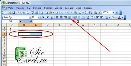 Cum de a face o celulă în Excel Cum de a face o celulă în Excel