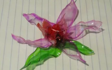 Ca de sticle de plastic pentru a face flori Ca de sticle de plastic pentru a face flori