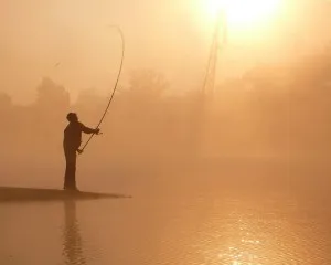 tijă Feeder că este tijă Feeder că este