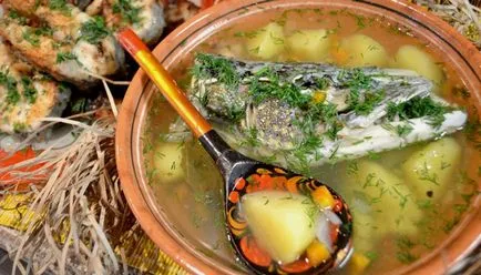 Cum de a găti o supă delicioasă Cum de a găti o supă delicioasă