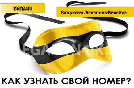 Cum de a găsi un echilibru pentru Beeline Cum de a găsi un echilibru pentru Beeline