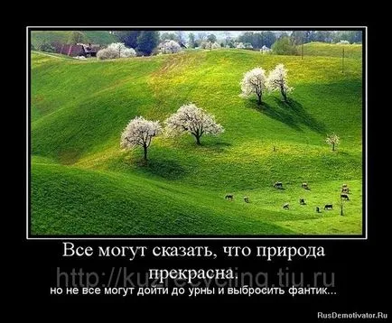Cum de a îmbunătăți mediul Cum de a îmbunătăți mediul
