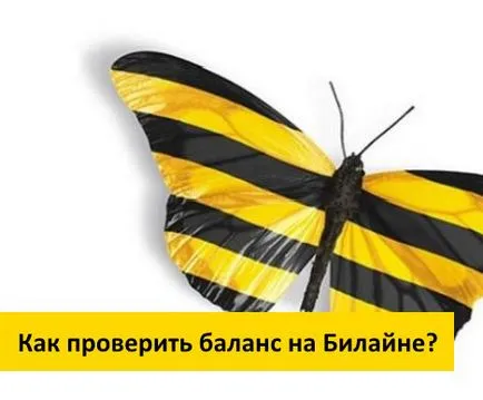 Cum de a găsi un echilibru pentru Beeline Cum de a găsi un echilibru pentru Beeline
