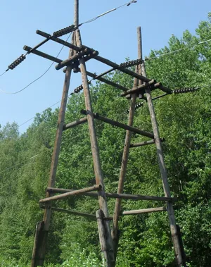 Elementele de bază ale liniilor aeriene