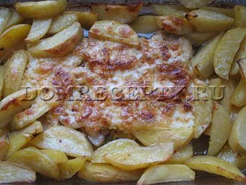 cotlet de porc cu cartofi și brânză în rețetă cuptor cu fotografie (brânză) cotlet de porc cu cartofi si branza in reteta cuptorului cu o fotografie