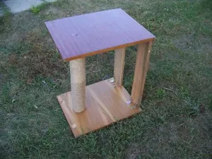 Puncte pentru pisici Puncte pentru pisici