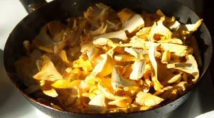 Cum de a găti chanterelle ciuperci Cum de a găti chanterelle ciuperci