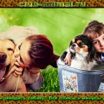 câine Canare câine Canare