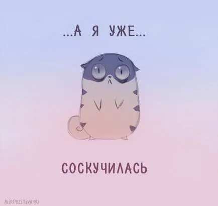 Așa cum am fost de așteptare pentru tine imagini