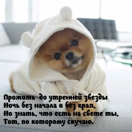 Așa cum am fost de așteptare pentru tine imagini Așa cum am fost de așteptare pentru tine imagini