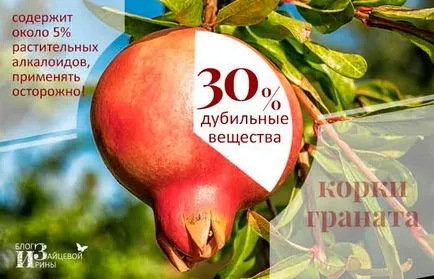 Care sunt beneficiile de coaja de rodie