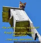Cât de bine am fost bolnav Cât de bine am fost bolnav