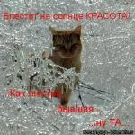 Cât de bine am fost bolnav Cât de bine am fost bolnav