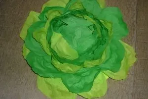 Varza mâinile proprii