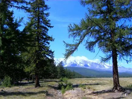 Cum de a merge la Altai Cum de a merge la Altai